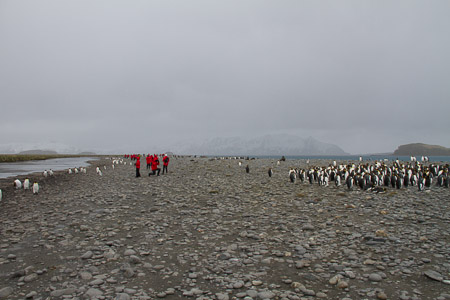 AntL_2012-1747