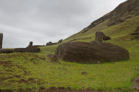AntL_2012-5954