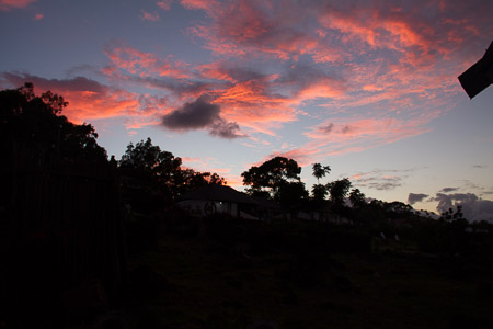AntL_2012-6133